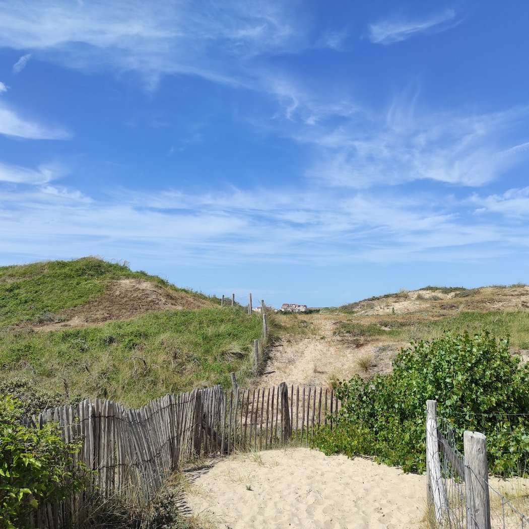 Sentier des Fauvettes 2